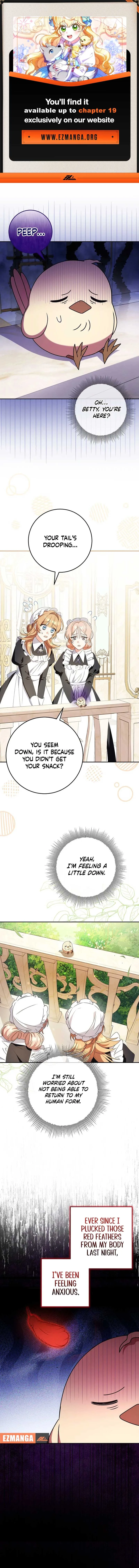 The Beloved New Daughter-in-law Of The Wolf Mansion Chapter 15 page 2