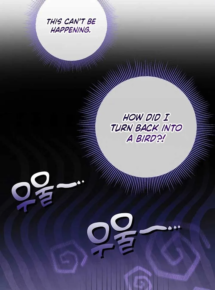 The Beloved New Daughter-in-law Of The Wolf Mansion Chapter 12 page 14