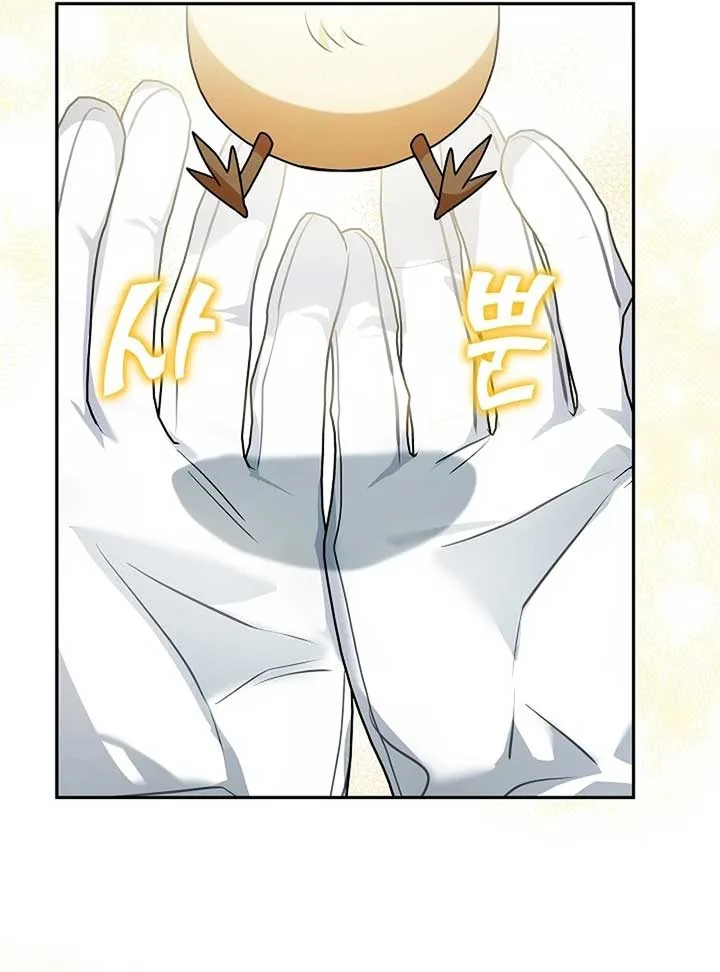 The Beloved New Daughter-in-law Of The Wolf Mansion Chapter 12 page 81