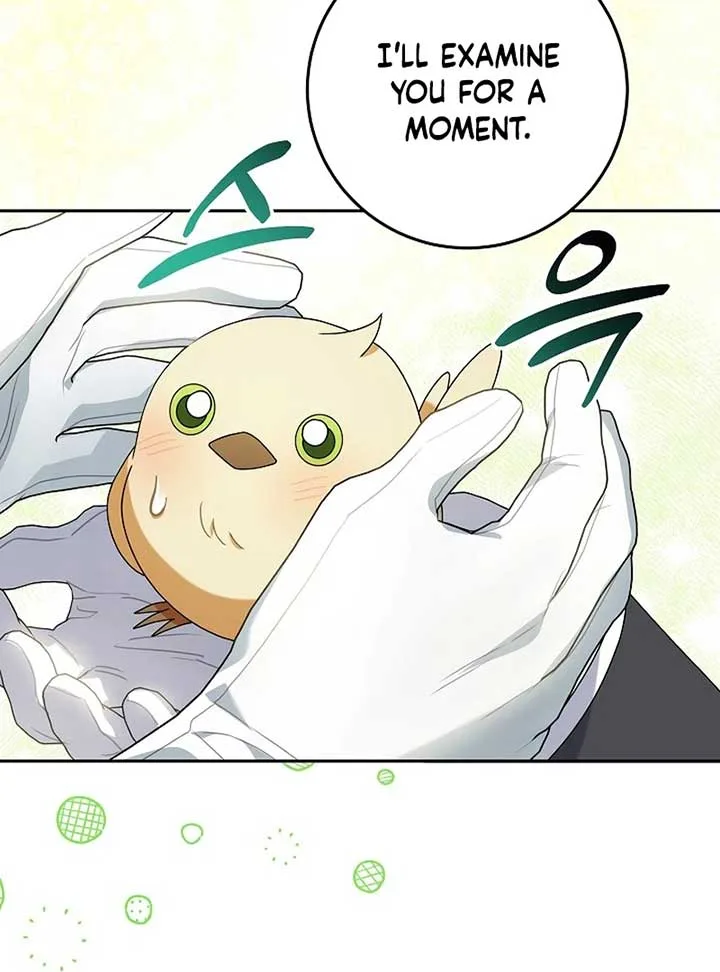The Beloved New Daughter-in-law Of The Wolf Mansion Chapter 12 page 96