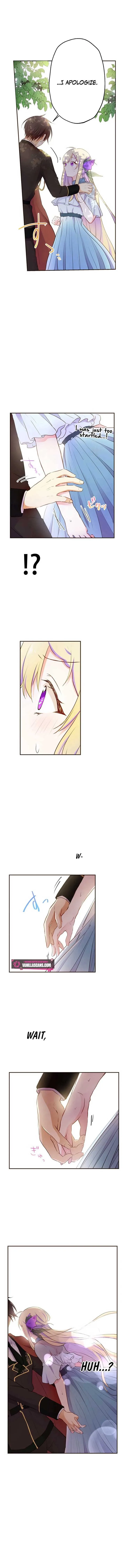 Masked Knight Will Never Deceive The Villainess Chapter 3 page 9