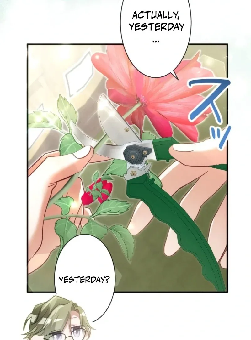I Committed a One-Night Mistake with the Young Lady? Chapter 19 page 74