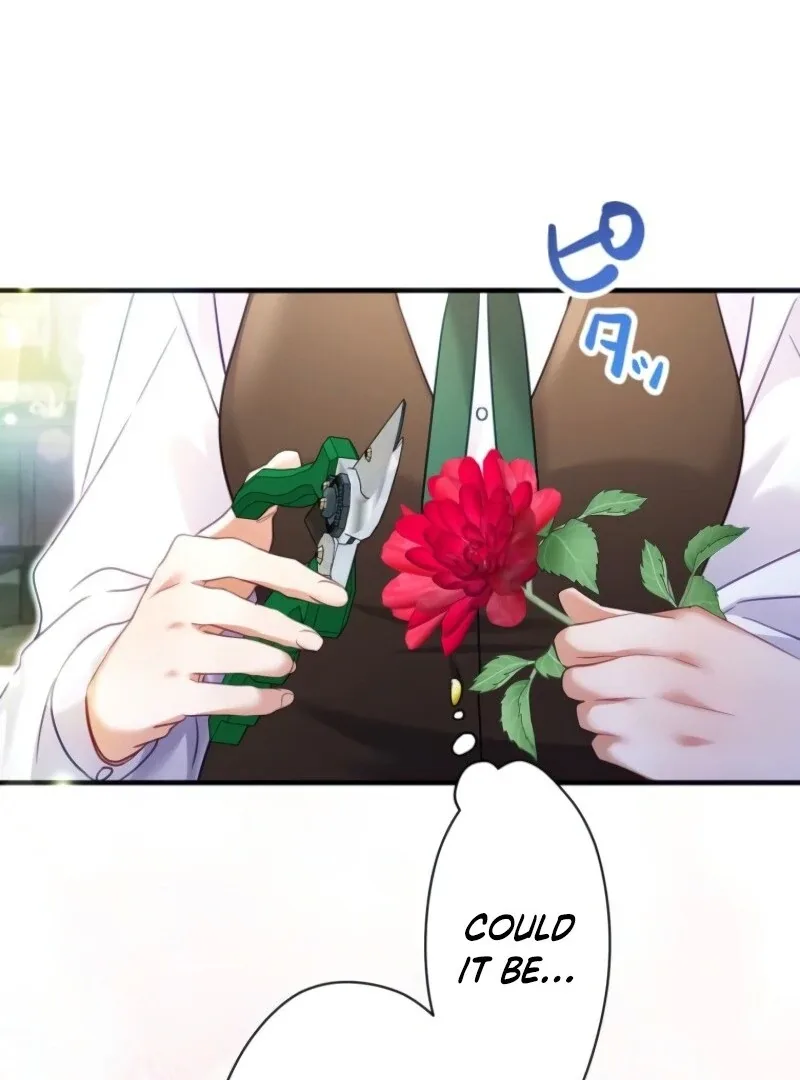 I Committed a One-Night Mistake with the Young Lady? Chapter 19 page 79