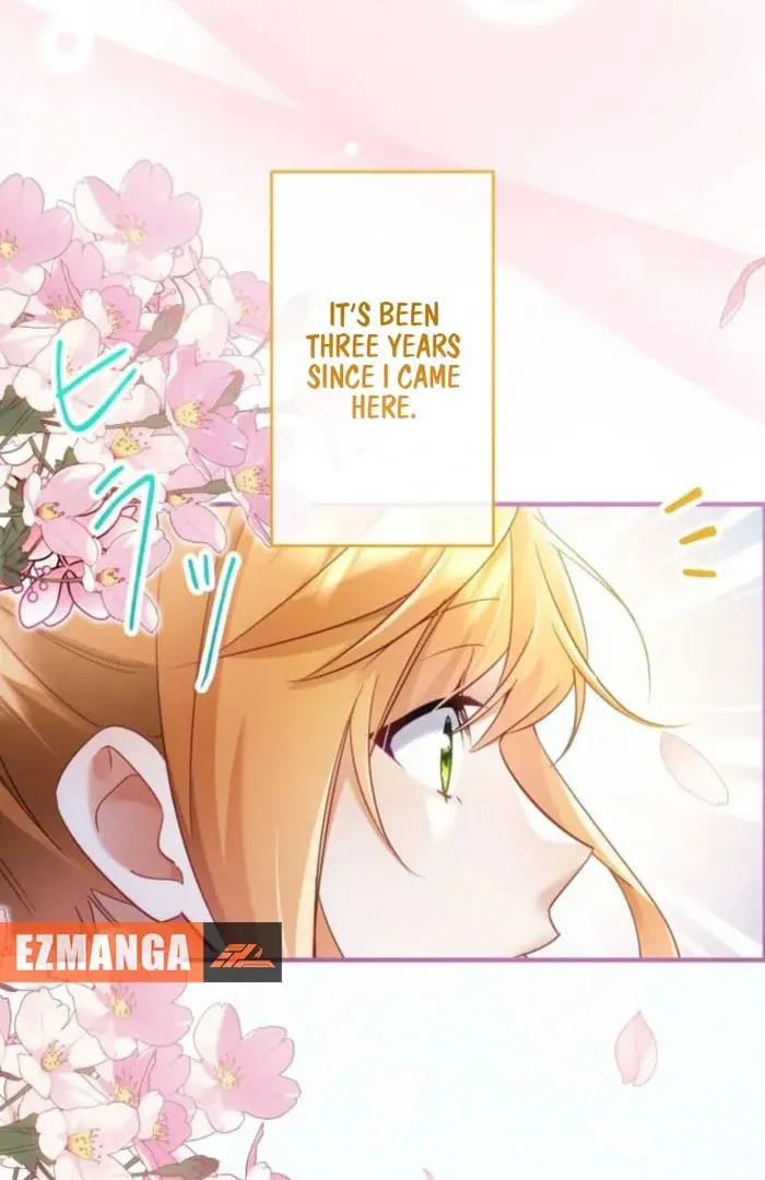I Committed a One-Night Mistake with the Young Lady? Chapter 24 page 13