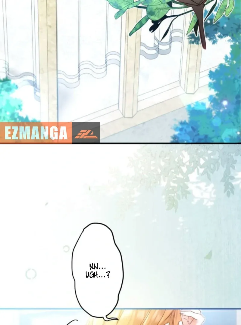 I Committed a One-Night Mistake with the Young Lady? Chapter 26 page 15
