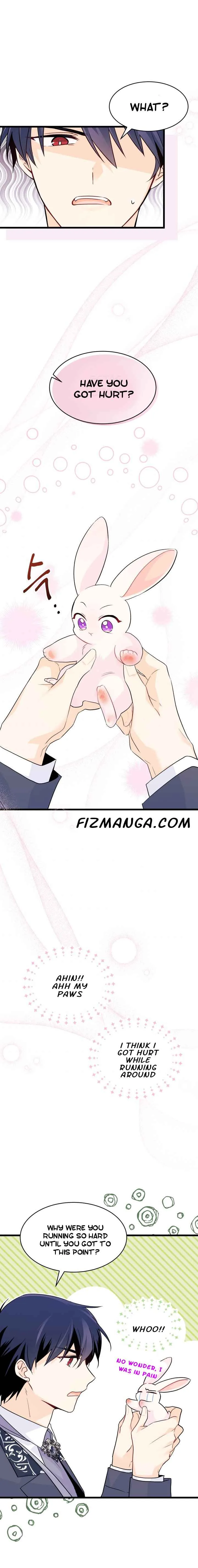 Little Rabbit and the Big Bad Leopard Chapter 34.5 page 4