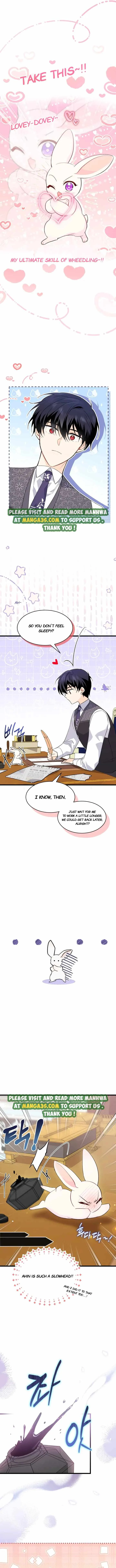 Little Rabbit and the Big Bad Leopard Chapter 83.5 page 2