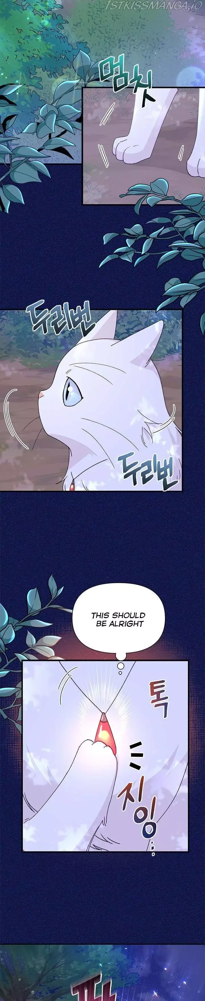 I Found a Husband When I Picked Up the Male Lead Chapter 40 page 13
