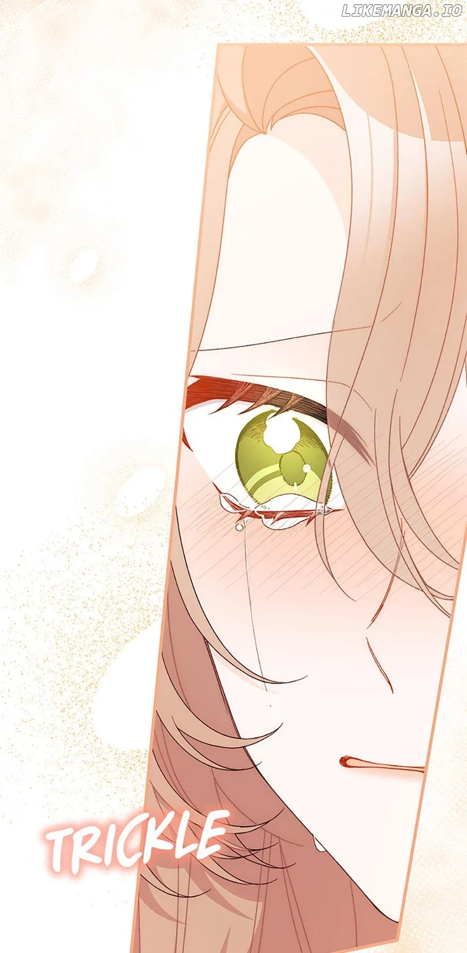 I Found a Husband When I Picked Up the Male Lead Chapter 56 page 41