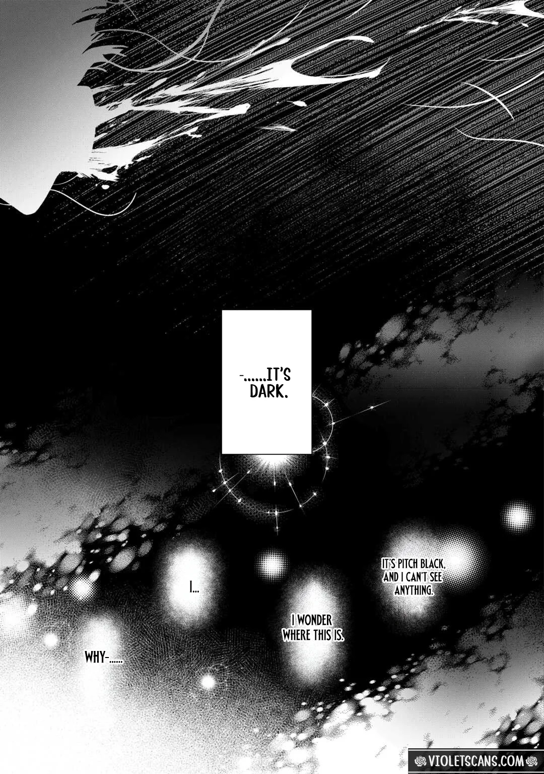 The Executed Villainess Rewinds Time to Take Her Revenge Chapter 1 page 9