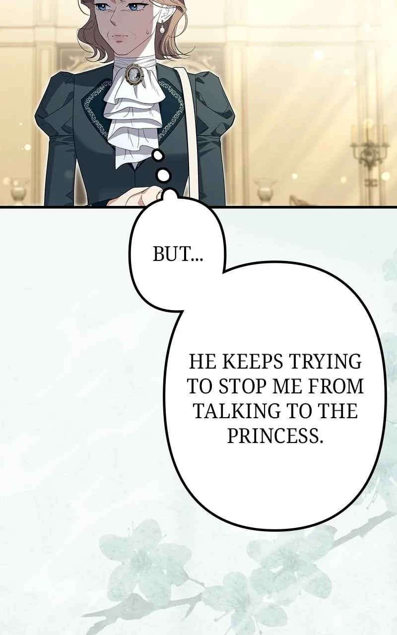 Shadow Princess Chapter 42 page 17