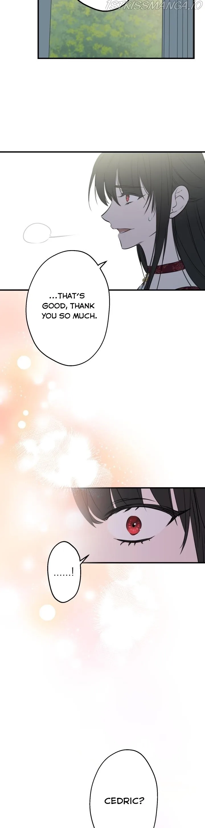 The Strongest Characters in the World are Obsessed With Me Chapter 49 page 26