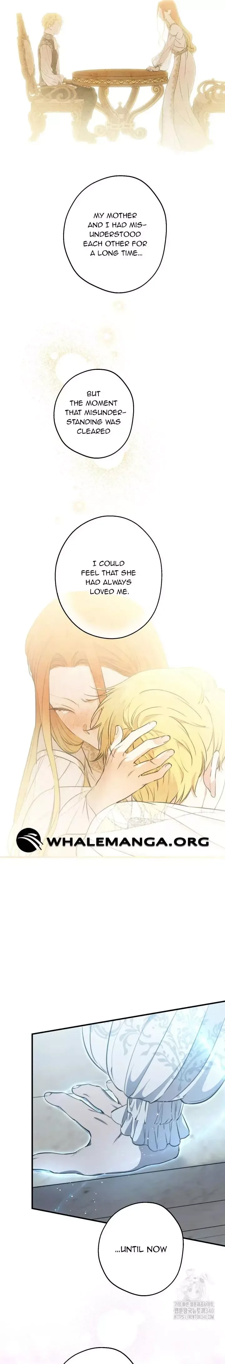 The Strongest Characters in the World are Obsessed With Me Chapter 117 page 13