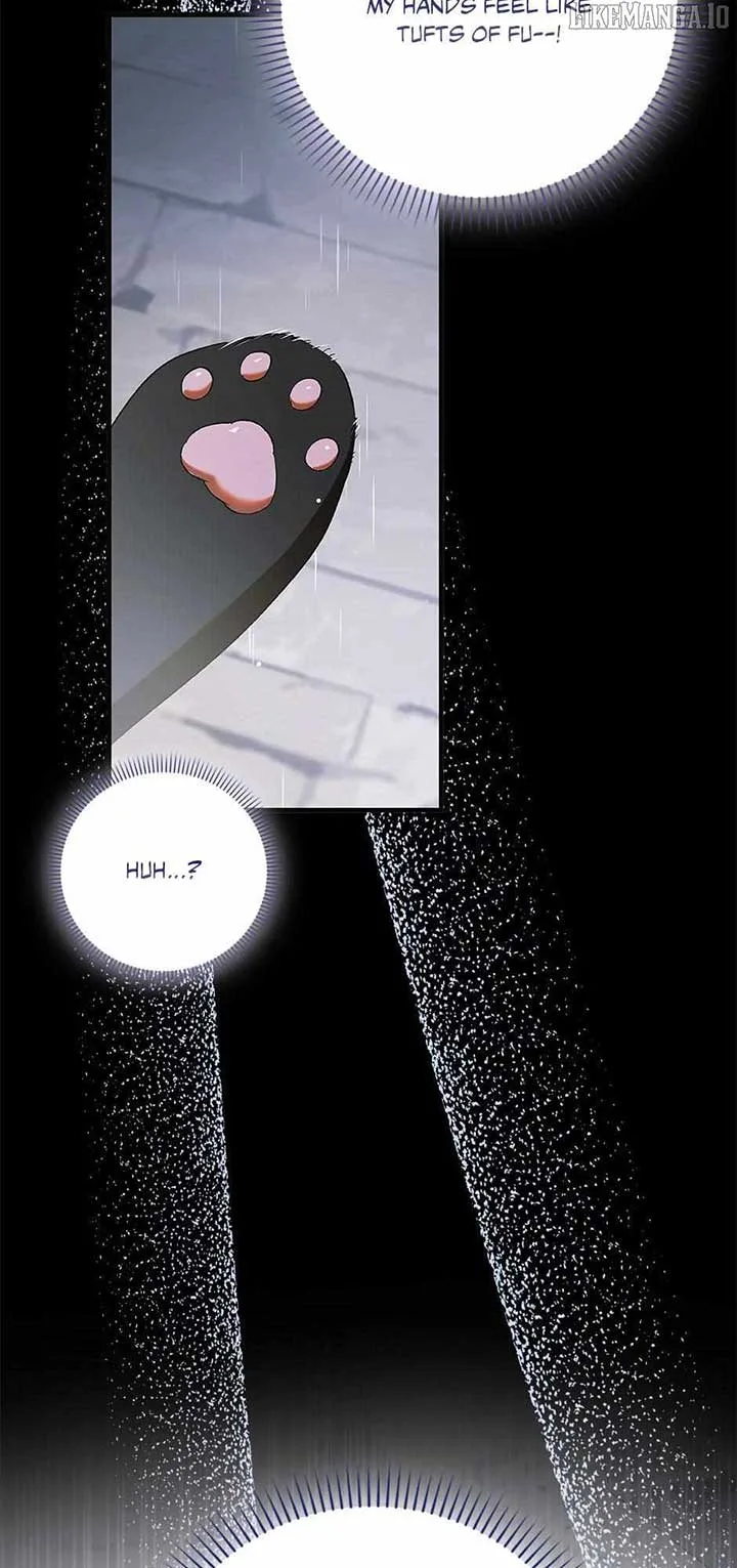 A Way To Protect The Lovable You Chapter 159 page 73