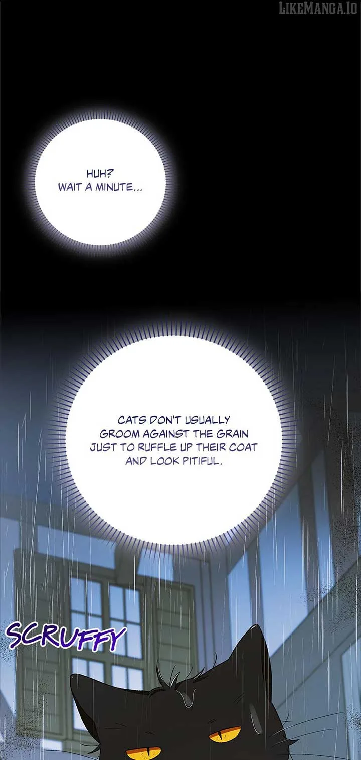 A Way To Protect The Lovable You Chapter 159 page 77