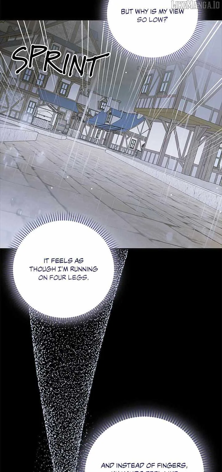 A Way To Protect The Lovable You Chapter 159 page 72