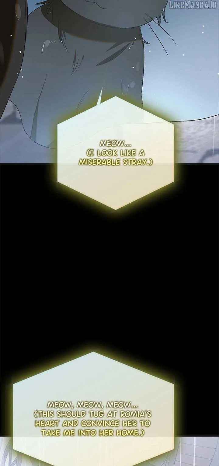 A Way To Protect The Lovable You Chapter 159 page 75