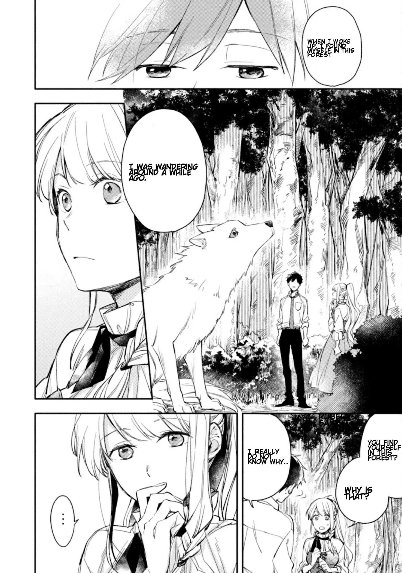 Isekai Tensei Shitara Aiken ga Saikyou ni Narimashita: Silver Fenrir to Ore ga Isekai Kurashi wo Hajimetara Chapter 2 page 5