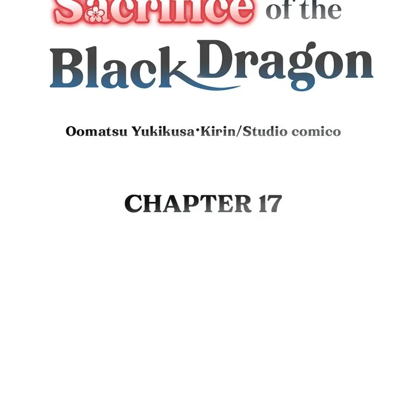 The Silent Sacrifice Princess And The Black Dragons Marriage Chapter 17 page 11