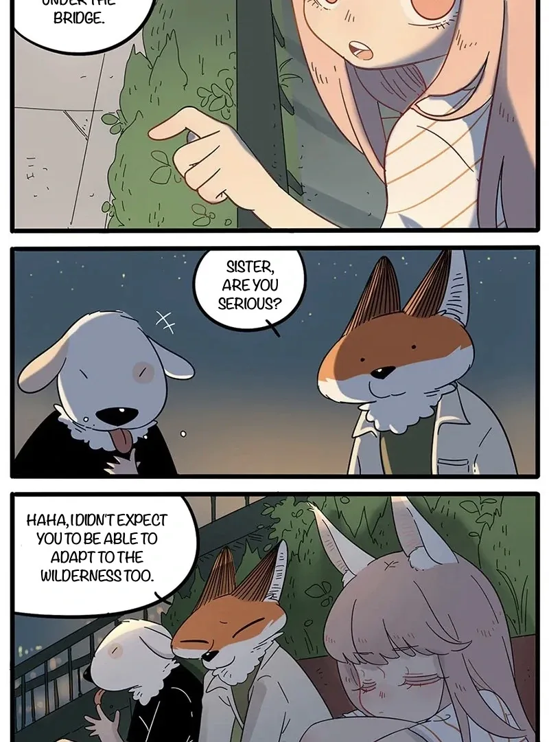 The Loser-fox Orange Chapter 21 page 5