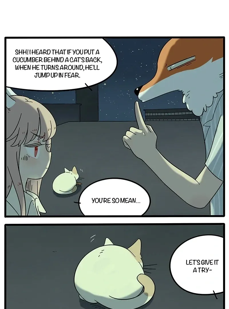 The Loser-fox Orange Chapter 21 page 29