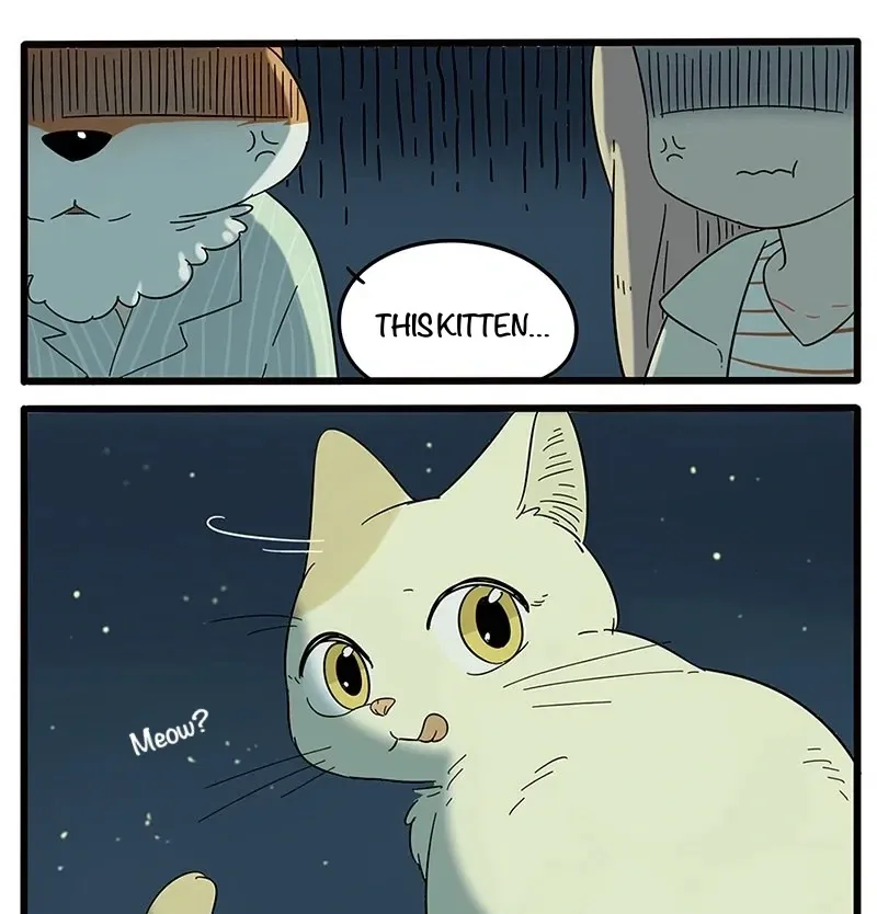 The Loser-fox Orange Chapter 21 page 34