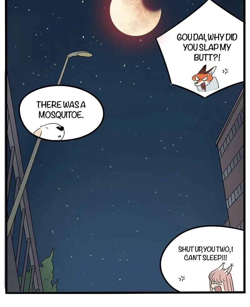 The Loser-fox Orange Chapter 21 page 42