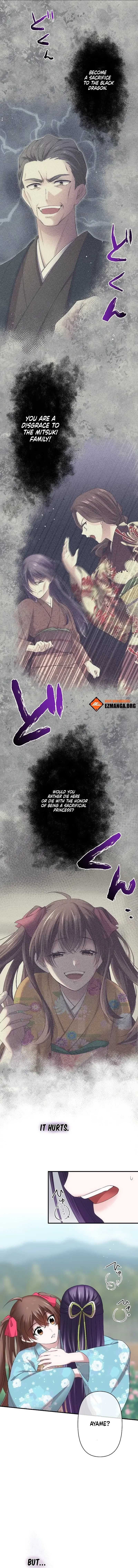 The Silent Sacrifice Princess And The Black Dragons Marriage Chapter 25 page 13