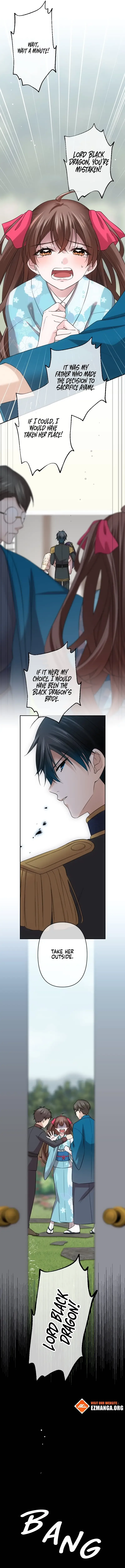The Silent Sacrifice Princess And The Black Dragons Marriage Chapter 26 page 10