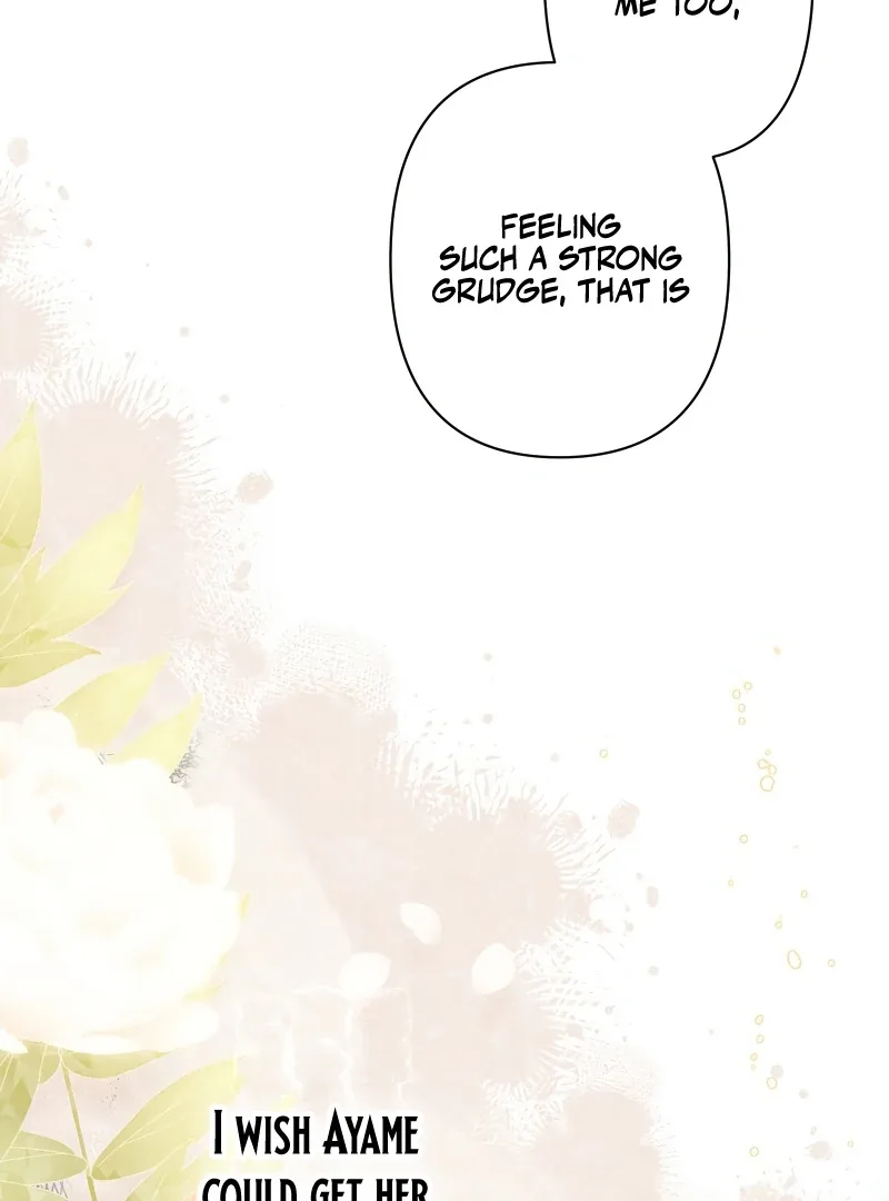 The Silent Sacrifice Princess And The Black Dragons Marriage Chapter 42 page 13