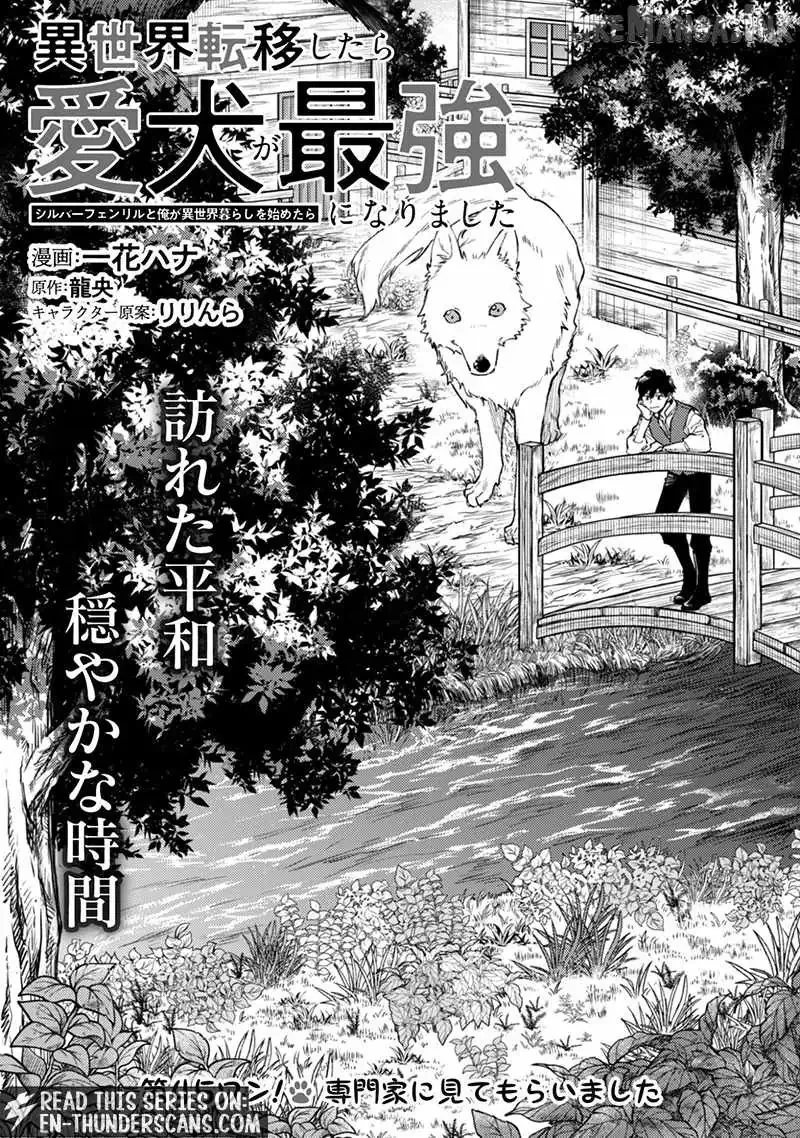Isekai Tensei Shitara Aiken ga Saikyou ni Narimashita: Silver Fenrir to Ore ga Isekai Kurashi wo Hajimetara Chapter 45 page 3
