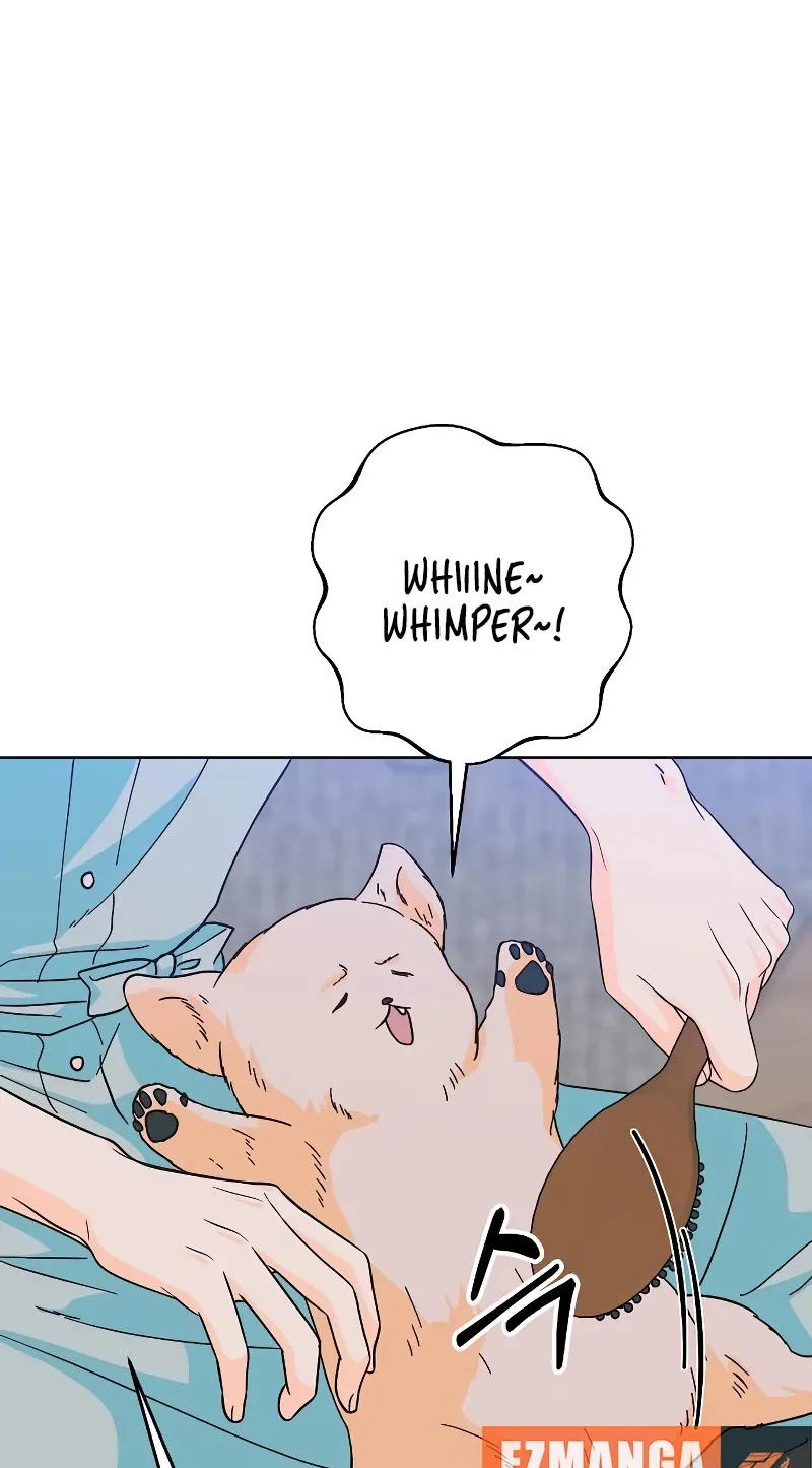 Spring Fever Chapter 56 page 35