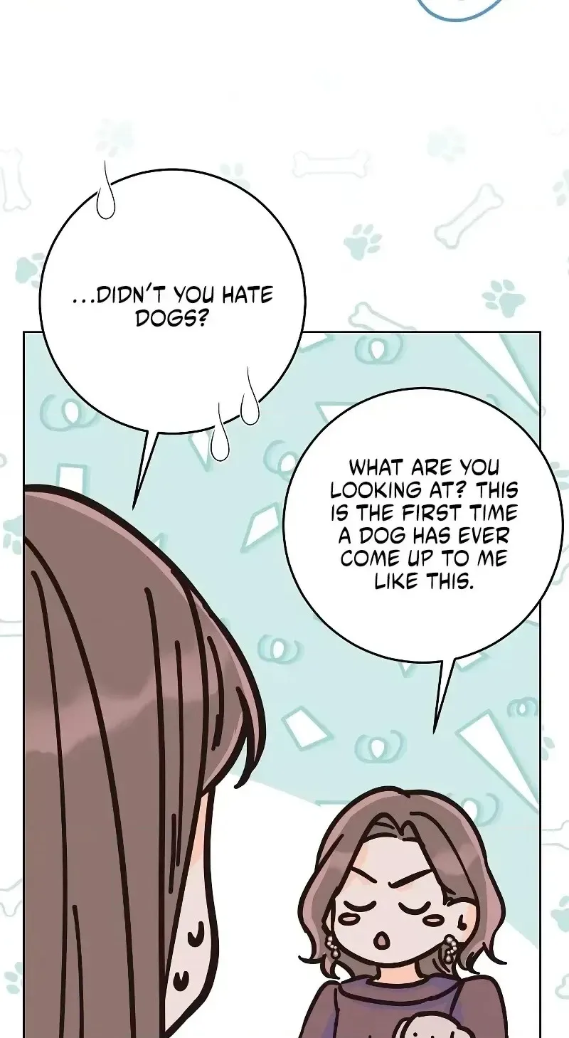 Spring Fever Chapter 56 page 50