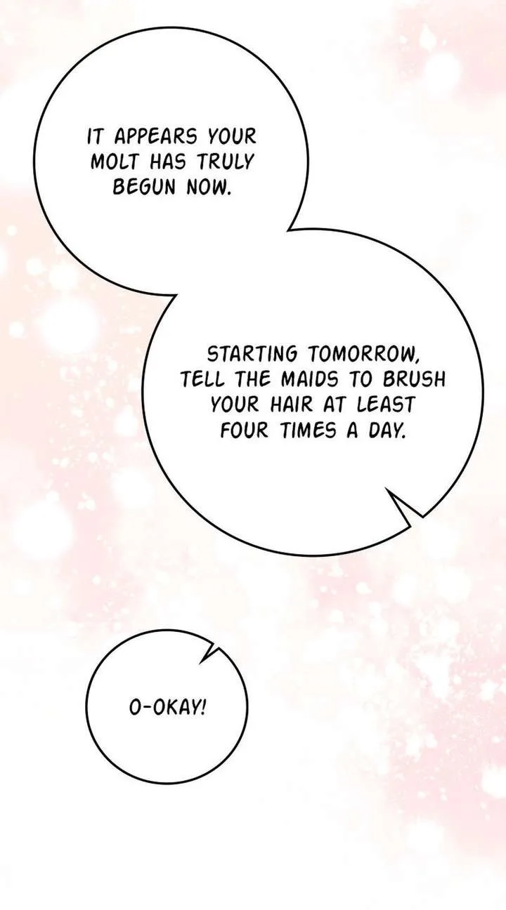 The Beloved New Daughter-in-law Of The Wolf Mansion Chapter 60 page 9
