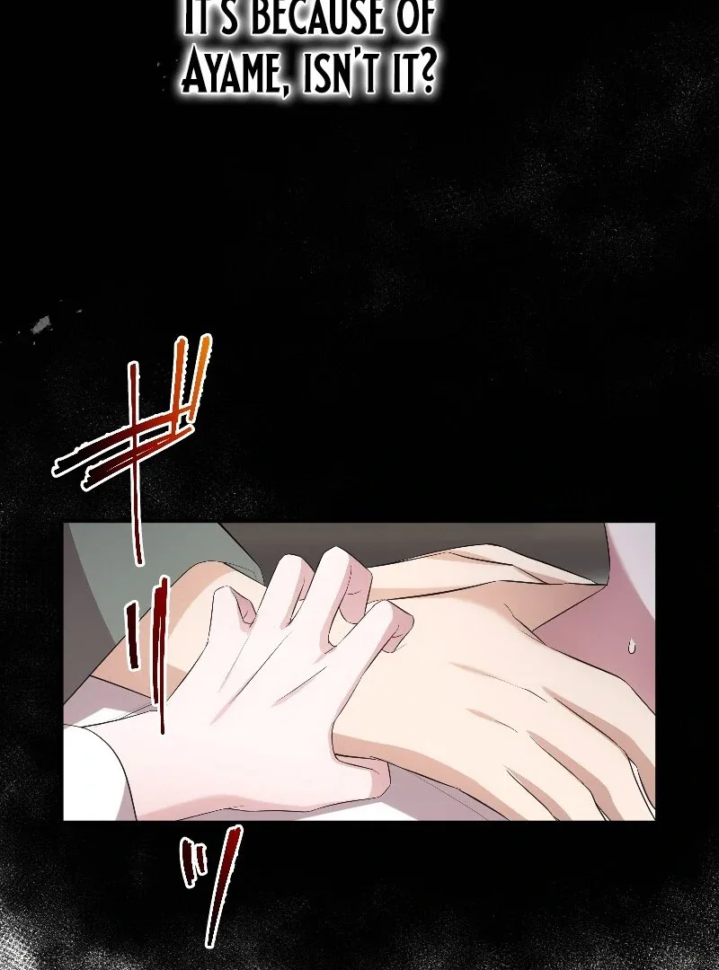 The Silent Sacrifice Princess And The Black Dragons Marriage Chapter 60 page 65
