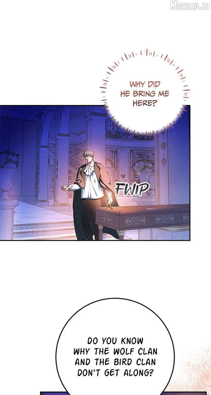 The Beloved New Daughter-in-law Of The Wolf Mansion Chapter 62 page 11