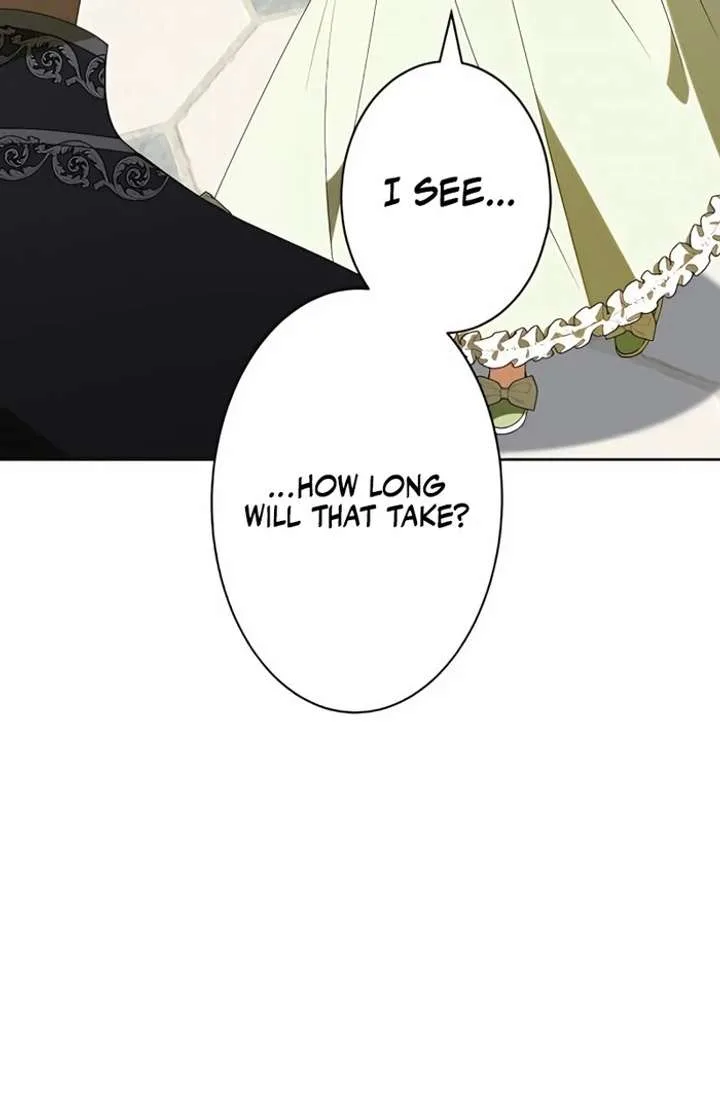 Don’t Obsess Over the Fake Princess! Chapter 5 page 17