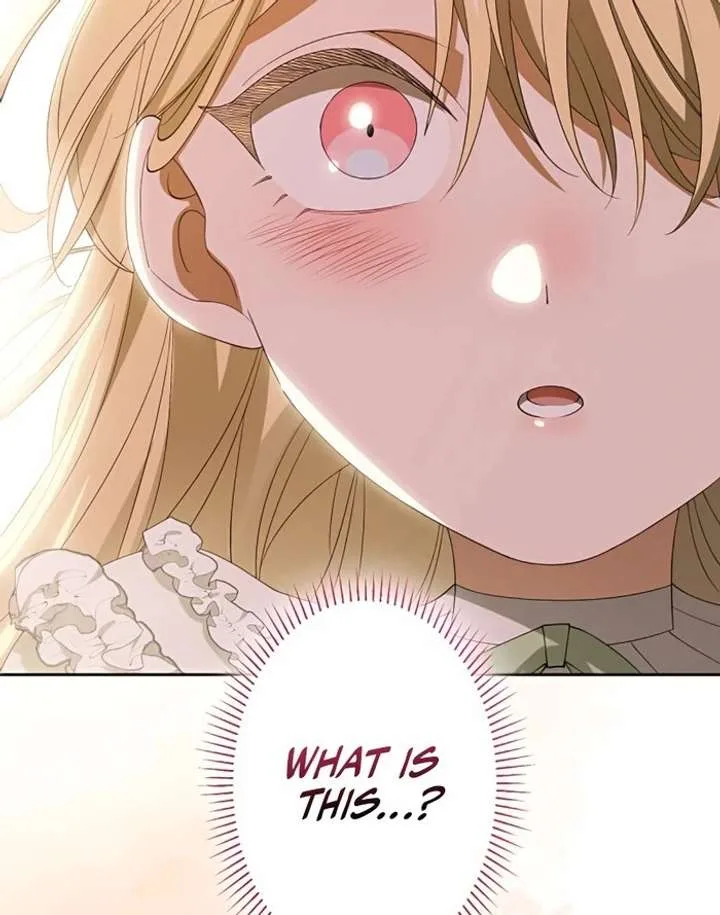 Don’t Obsess Over the Fake Princess! Chapter 5 page 52