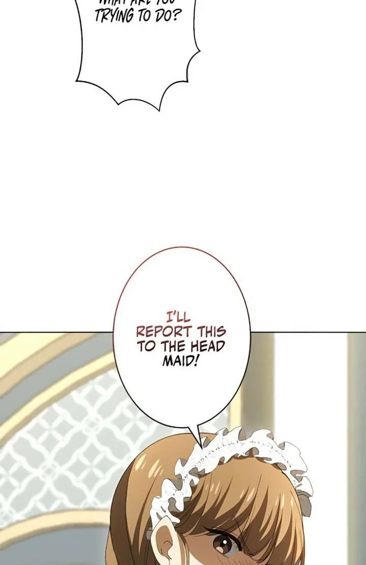 Don’t Obsess Over the Fake Princess! Chapter 2 page 14