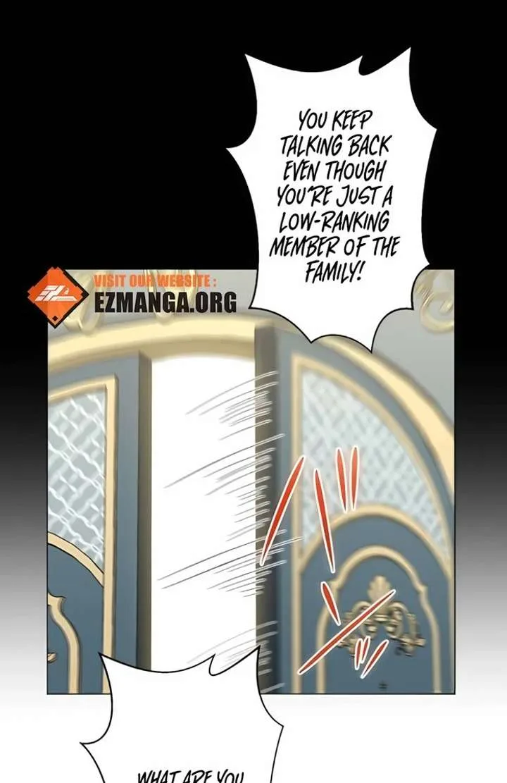 Don’t Obsess Over the Fake Princess! Chapter 2 page 13