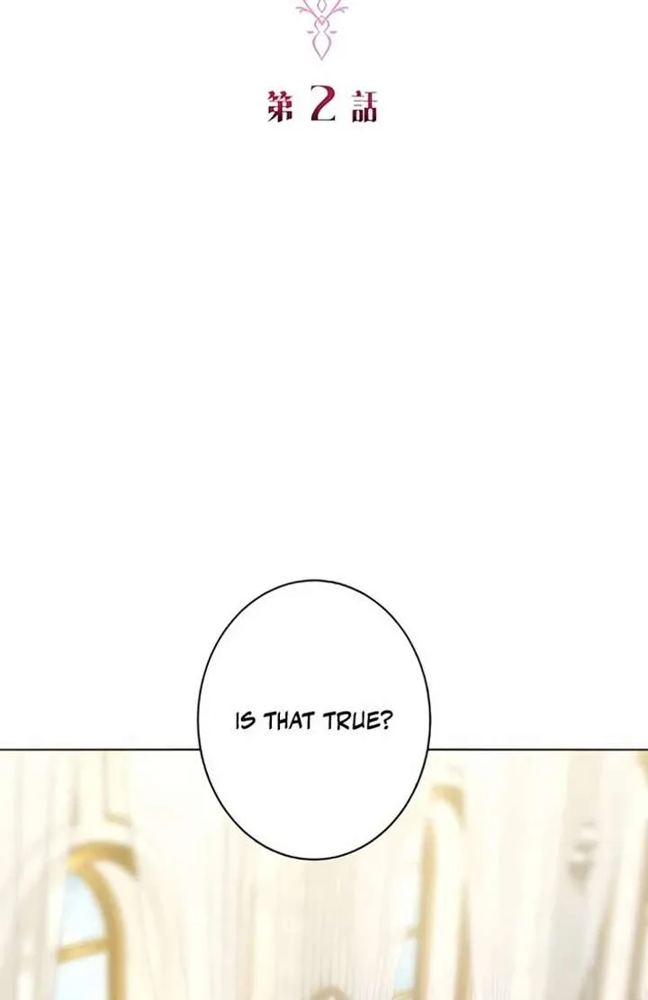 Don’t Obsess Over the Fake Princess! Chapter 2 page 30