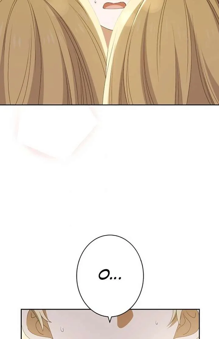 Don’t Obsess Over the Fake Princess! Chapter 3 page 74