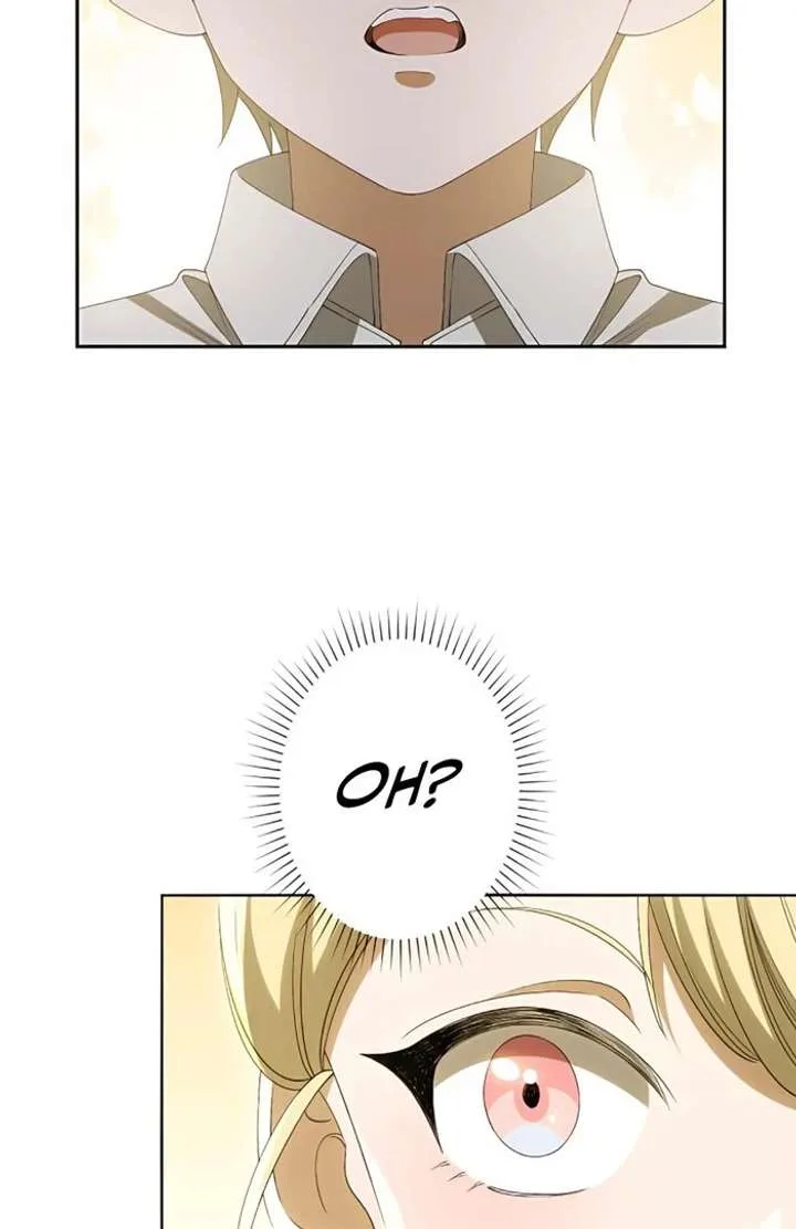 Don’t Obsess Over the Fake Princess! Chapter 3 page 75
