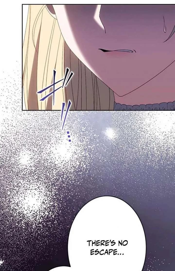 Don’t Obsess Over the Fake Princess! Chapter 13 page 47