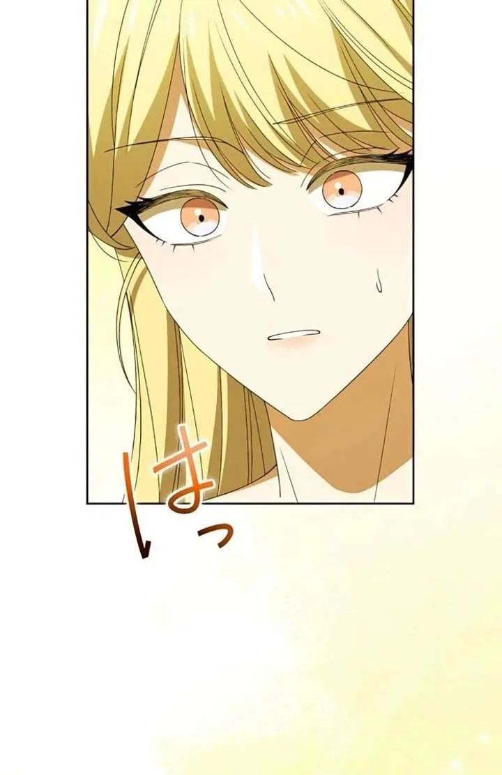 Don’t Obsess Over the Fake Princess! Chapter 13 page 65