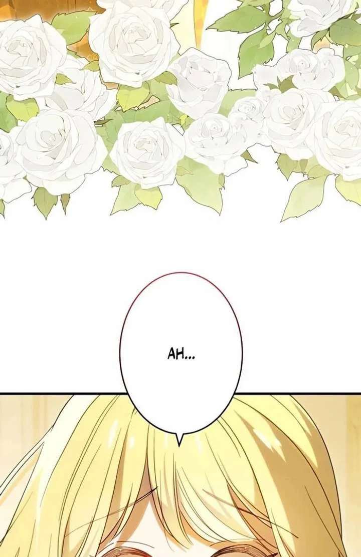 Don’t Obsess Over the Fake Princess! Chapter 13 page 67