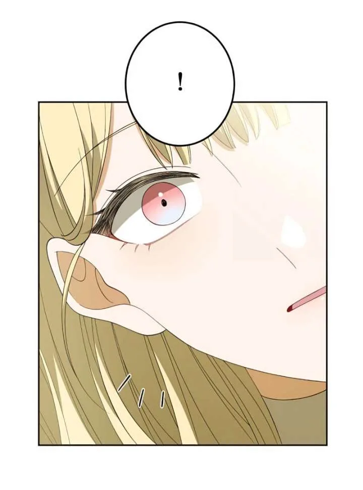 Don’t Obsess Over the Fake Princess! Chapter 12 page 35