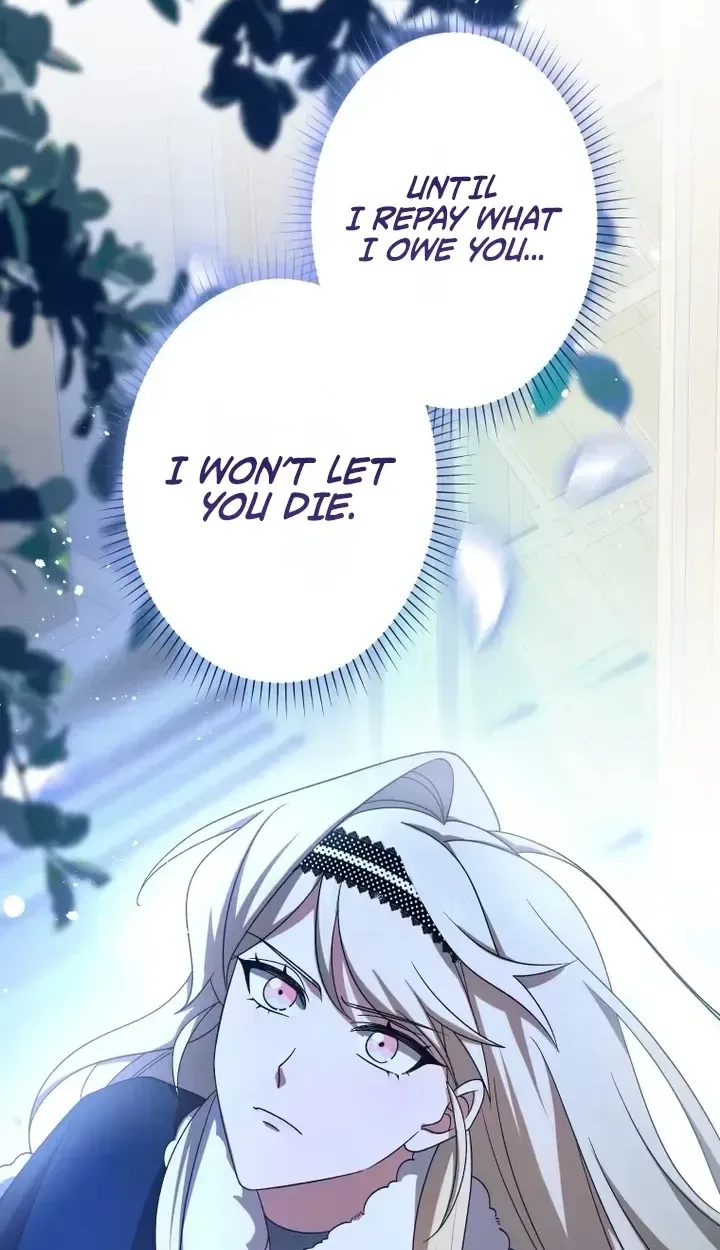 Don’t Obsess Over the Fake Princess! Chapter 41 page 3
