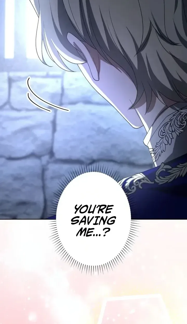 Don’t Obsess Over the Fake Princess! Chapter 43 page 46
