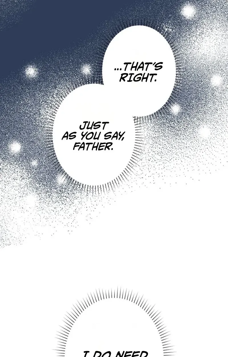 Don’t Obsess Over the Fake Princess! Chapter 45 page 16